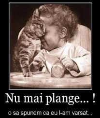 See more of prietenul la nevoie se cunoaste on facebook. Prietenul La Nevoie Se Cunoaste Home Facebook