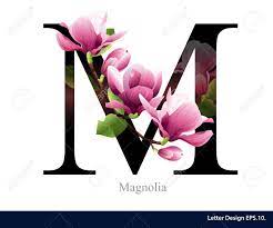 Buy raydenhy back cover for oppo a15 printed m, m letter, m alphabet, design only for rs. Letter M Vector Alphabet With Magnolia Flower Abc Concept Type Typography Design Royalty Free Cliparts Vectors And Stock Illustration Image 45005955
