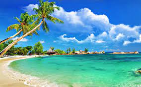 50+ free photos to start! Shared By Xaimeevx Find Images And Videos About Summer Beach And Whitesand On We Heart It The App To Beach Wallpaper Beach Phone Wallpaper Beach Background