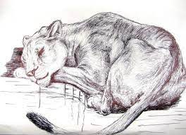 We will guide you through this simple step by step drawing tutorial by using simple geometric shapes drawing dogs is fun, but it is also hard work. Drawing Lessons Animals Download Now Fore Free P Learn How To Draw Animals With Easy Step By Step Tutorials Drawing A Animal Drawings Realistic Dog Animals