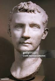 294 3741 Getty Stock Photos, High-Res Pictures, and Images