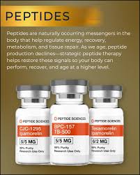 Image result for Higher Integrative Function