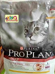 Pin Di Makanan Kucing