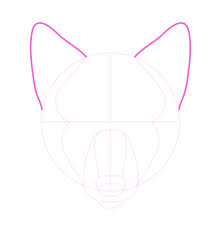 How To Draw Animals Dogs And Wolves And Their Anatomy Children practice to observe how to draw a dog at a basic level. how to draw animals dogs and wolves