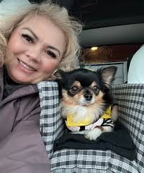 Happy National Dog Day! Ordered off Amazon now Temo can enjoy comfort and  be safe as well as keep me comfortable while driving and he can look  everywhere 🙂 PERFECT! Just the