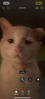 Frostbite hellcat wrap in Forza Horizon 5