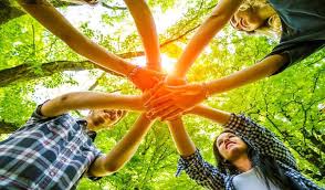 The most popular ideas for outdoor summer activities include animal parks, wildlife parks and zoos. 13 Awesome Team Building Games Your Team Won T Hate