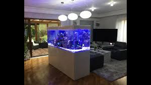 Akwaria Nowe Realizacje Argus Aquarium Design Garden Biuro Aadg Pl Www Aadg Pl Tel 695807066 Youtube
