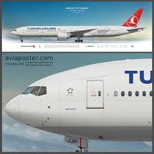Turkish Airlines Turkish Airlines Airline Logo Aircraft