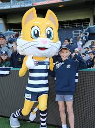 In that time, hes seen and done plenty. Gallery Geelong Cats Open Training Session The Advertiser