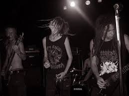 Image result for profane existence band