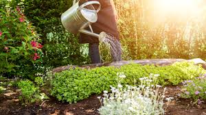 Weitere ideen zu wasser im garten, garten, gartengestaltung. Wasser Sparen Im Garten Wasserspartipps 2019 Wasserspartipps 2019