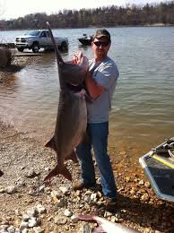 Www Bransonfishingguideservice Com Like Them On Facebook Https Www Facebook Com Pages Branson Fishing Guide Servic Table Rock Lake Fishing Guide Branson