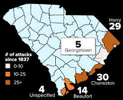 Myrtle Beach Shark Attacks Should You Be Worried Or Not