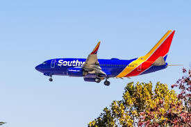 My flight attendant on my flight to vegas. Flight Attendant Union Sends Letter To Southwest Airlines Ceo After Vicious Assault Travelpulse