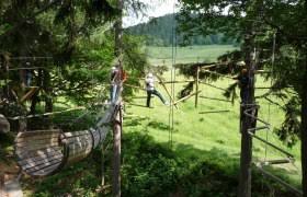 Check spelling or type a new query. Kletterpark Niederosterreich