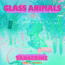 I'm feeling somewhere between absolute terror & super excitement. Glass Animals On Tidal