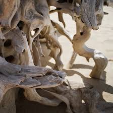 Artpropelled Driftwood Art Driftwood Art