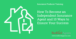 We did not find results for: How To Become An Independent Insurance Agent And A Path To Success