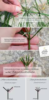 Ackerschachtelhalm Wertvolle Heilpflanze Und Ihre Anwendungen Mit Liebe Gemacht Heilpflanzen Krauterpflanzen Unkraut Im Garten