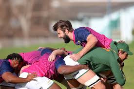 Jun 24, 2021 · the springboks are keeping their cards close to their chest when it comes to the progress of their injured players, but deon davids expects duane vermeulen to rejoin the squad in the next few weeks. Tj S2cjezuka2m