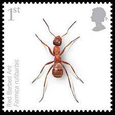 British Stamp Endangered Insects Red Barbed Ant Marki Nasekomye