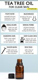 Tea Tree Oil Skincare Benefits And Uses Little Diy Tea Tree Oil For Acne Tea Tree Oil Tea Tree Oil Benefits