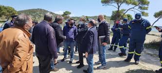 Επικαιροτητα ορφέας παπαδόπουλος για καταγγελίες. Apokleistiko Xrysoxoidhs Kai Xardalias Ston Sxinia Fwto