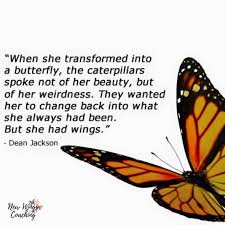 Float Like A Butterfly Sting Like A Bee перевод Float Like A Butterfly Sting Like A Bee Float Like A Butterfly Sting Like A Bee Butterfly Quotes