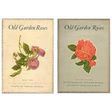Maybe you would like to learn more about one of these? Old Garden Roses 2 Volume Set Books For Sale At 1stdibs