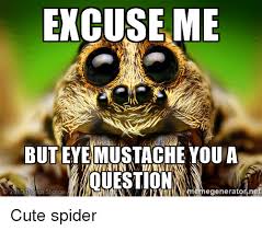 25 Best Memes About Cute Spider Cute Spider Memes Spider Meme Spider Wolf Spider