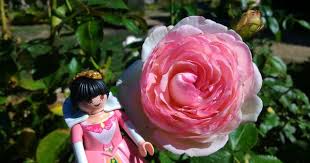 Une Fleur Pour La Reine Playmobil Photo Prise Dans Le Jardin Du Chateau De Jallanges