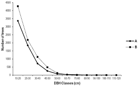 Image result for Pachylobus osika