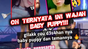 Dia sering menyerang pemimpin sebagai tidak cekap dan rasuah. Baby Puppy Ff Viral Di Tiktok Colm3k Apaan Sih Area Tekno