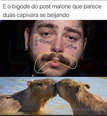 Post Malone Mustache Looks Like Two Capybaras Kissing Postmalone