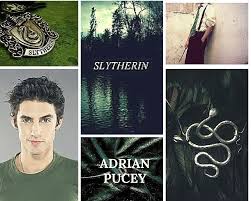 A love triangle with draco malfoy and adrian pucey. Dramione84 Fanfictions Slytherin Aesthetic Adrian Pucey