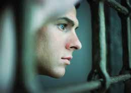 ANNUAL REPORT Quantifying the Social Costs of Cannabis Use to Australia in  2015/16