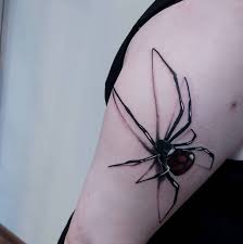 This is the first of two different designs. Top 67 Best 3d Spider Tattoo Ideas 2021 Inspiration Guide Laptrinhx News