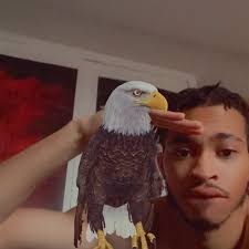 Elijah Crowder 🛹 (@elichillout) • Threads, Say more