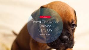 Maybe you would like to learn more about one of these? 7 Strategies To Keep Your Dog Out Of A Room Pet Stop