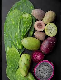 Cactus is a type of plant that can store large amounts of water and survive in extremely hot and dry habitats. Cactus You Can Eat With Pictures Succulents Network Mexico Food Mexican Food Recipes Olvera