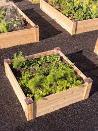 Copper Cap Cedar Raised Beds Raised Garden Raised Bed Garden Design Raised Garden Beds
