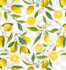 Fresh Lemon Border Fresh Lemon Illustration Lemon Png Transparent Clipart Image And Psd File For Free Download Lemon Flowers Lemon Background Lemon Art