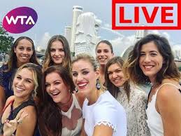 Astfel, sâmbătă se joacă cu trofeul și nr.1. Simona Halep Vs Caroline Wozniacki Live Stream Hd Wta Finals Singapore 2017 Round 2 Youtube