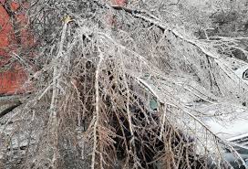 Program festival zilele sectorului 4 cand canta carla s dreams. PrimÄria Sectorului 4 AnunÈÄ CÄ Ii Va DespÄgubi Pe ToÈi Proprietarii MaÈinilor Avariate De Copacii CÄzuÈi Ce Trebuie SÄ FacÄ Èoferii Hotnews Mobile