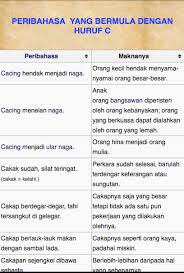 Namun dia sebenarnya telah ditipu umpama yang dikejar tak dapat, yang dikendong berciciran. Malay Peribahasa English Translation