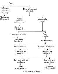 Chapter 4 Diversity In Living Organisms P S Verma And V K