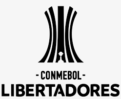 Kromě stránky copa america 2021 výsledky můžete na livesportu sledovat přes 1000 fotbalových událostí z více než 90 zemí celého světa. Copa Libertadores Png 1200x933 Png Download Pngkit
