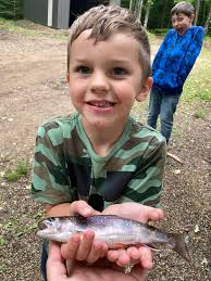 Browns and rainbows have nothing