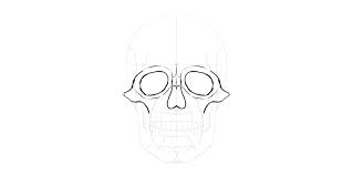 That was a fun experience! How To Draw A Skull